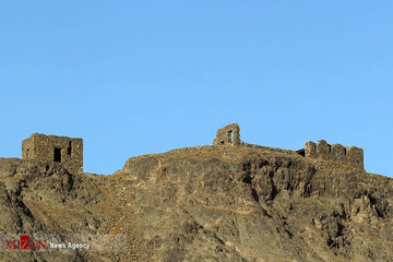 زیارت دوره در مدینه منوره