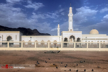 زیارت دوره در مدینه منوره