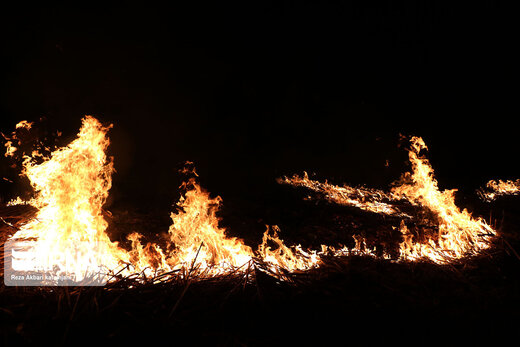 آتش سوزی در تالاب انزلی
