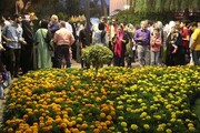 نمایشگاه گل و گیاه مشهد، برندی ملی در حوزه فضای سبز و باغبانی است
