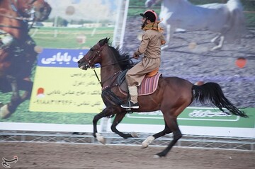 اولین جشنواره زیبایی اسب در کرمانشاه