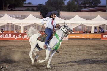 اولین جشنواره زیبایی اسب در کرمانشاه