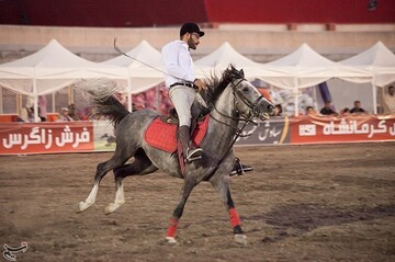 اولین جشنواره زیبایی اسب در کرمانشاه
