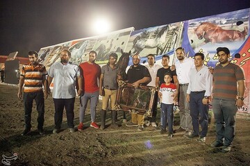 اولین جشنواره زیبایی اسب در کرمانشاه