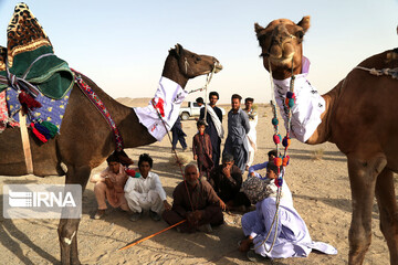 دومین جشنواره پسته و شتر دوانی کورین
