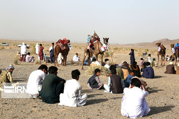 دومین جشنواره پسته و شتر دوانی کورین