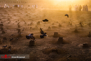 قبرستان بقیع