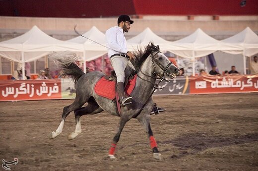 اولین جشنواره زیبایی اسب در کرمانشاه
