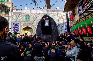 آیین نخل برداری در میبد یزد