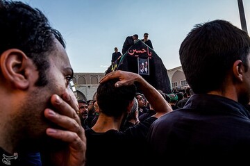 آیین نخل برداری در میبد یزد