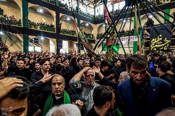 آیین نخل برداری در میبد یزد