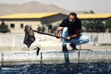مزرعه پرورش کروکدیل و ماهی در ملایر