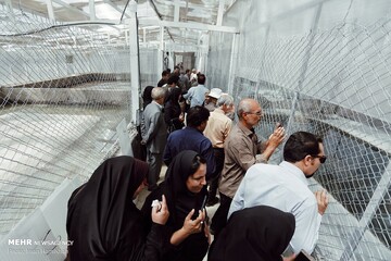 مزرعه پرورش کروکدیل و ماهی در ملایر