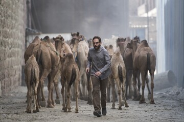 «روز بلوا» به نیمه رسید