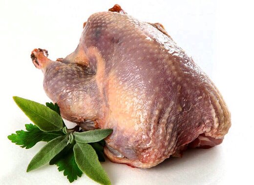 نرخ مصوب گوشت بوقلمون