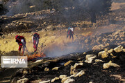 تصاویر | آتش‌سوزی در جنگل نخودکار باغملک