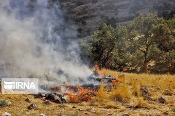 آتش‌سوزی در جنگل نخودکار باغملک