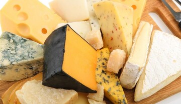 معرفی بزرگ‌ترین تاجران پنیر در جهان 