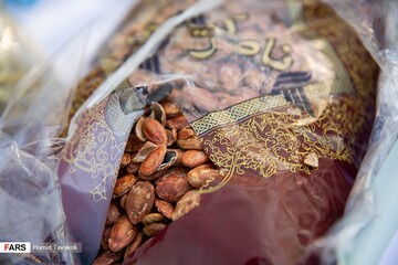 نخستین مرحله از طرح ظفر پلیس پیشگیری در تهران