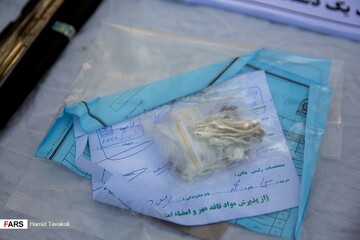 نخستین مرحله از طرح ظفر پلیس پیشگیری در تهران