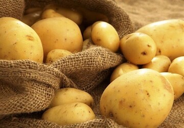 کدام کالا صدر نشین گرانی شد؟ 