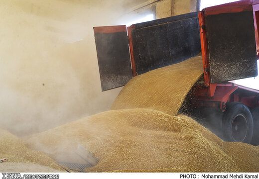 انتقال ۸۰ هزار تن گندم از بندرامام به سایر بنادر کشور