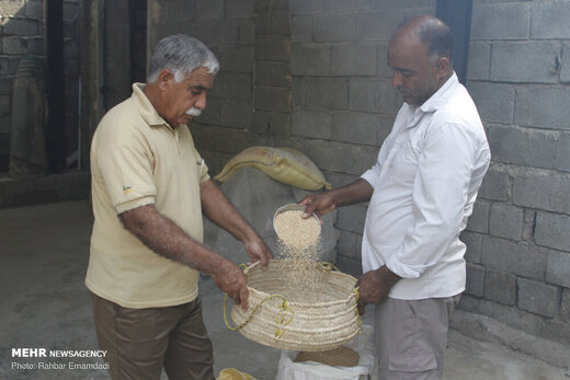 طبخ حلیم سنتی در فین بندرعباس