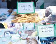 جاسازی تریاک در تخمه ژاپنی و شستشوی گلیم در آب تریاک/شیوه های ماهرانه قاچاق موادمخدر