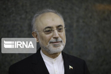 Advances in nuclear energy make Iran powerful: AEOI chief