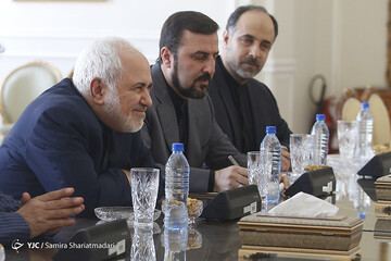 دیدار محمدجواد ظریف، وزیر امور خارجه با کورنل فروتا، مدیر کل موقت آژانس بین‌المللی انرژی