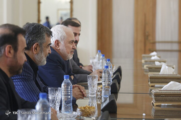 دیدار محمدجواد ظریف، وزیر امور خارجه با کورنل فروتا، مدیر کل موقت آژانس بین‌المللی انرژی