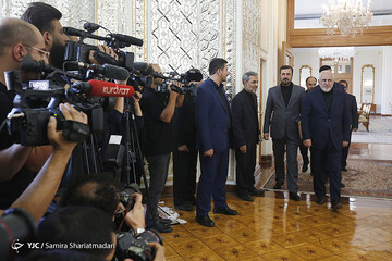 دیدار محمدجواد ظریف، وزیر امور خارجه با کورنل فروتا، مدیر کل موقت آژانس بین‌المللی انرژی