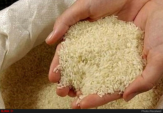 چرا قیمت برنج در حال افزایش است؟