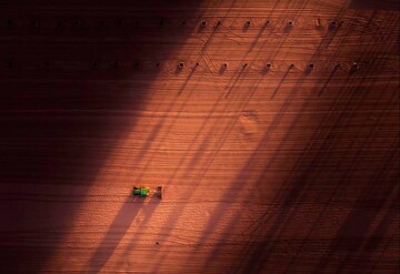 عکس | پاک کردن سواحل کالیفرنیا در عکس روز نشنال جئوگرافیک