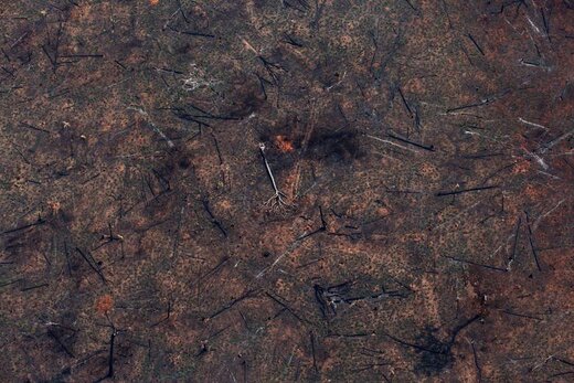 یک قطعه زمین سوخته از جنگل‌های ملی جامانگزیم در آمازون