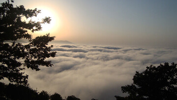 Iran's Abr Forest: Forest surrounded by clouds