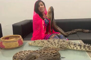 فیلم | خواننده معروف پاکستانی، نخست وزیر هند را با مار و تمساح تهدید کرد