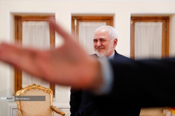 دیدار قائم مقام وزیر خارجه هند با ظریف