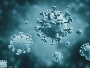 دانشمندان علیه ویروس سرماخوردگی!