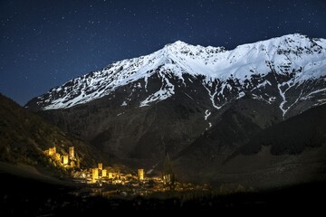 برندگان رقابت عکاسی محافظت از طبیعت ۲۰۱۹