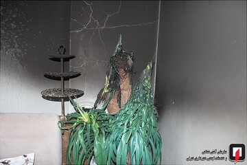 آتش‌سوزی واحد مسکونی در بزرگراه نواب