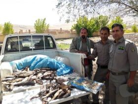  ۷۲ قطعه ماهی از متخلفین زیست محیطی در دورود کشف و ضبط شد