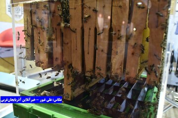 آغاز نخستین نمایشگاه بین‌المللی تخصصی عسل در ارومیه