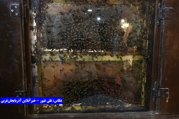 آغاز نخستین نمایشگاه بین‌المللی تخصصی عسل در ارومیه