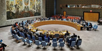 درخواست نماینده فرانسه در شورای امنیت درباره ادلب