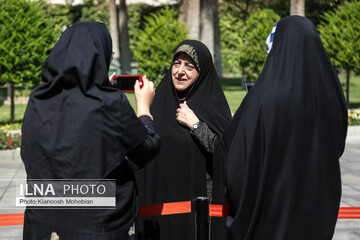 حاشیه جلسه هیئت دولت