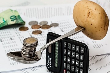 کاهش پس‌انداز خانوارها تا سطح سال ۹۵ / کسر بودجه به خانوارهای روستایی رسید