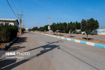 جزیره هرمز