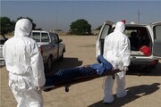 تاکنون ۱۰۴ ایرانی گرفتار تب کریمه کنگو شدند/ فوت ۱۰ بیمار