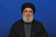 دبیرکل حزب‌الله:رژیم‌های عربی مسئول مشکلات منطقه هستند